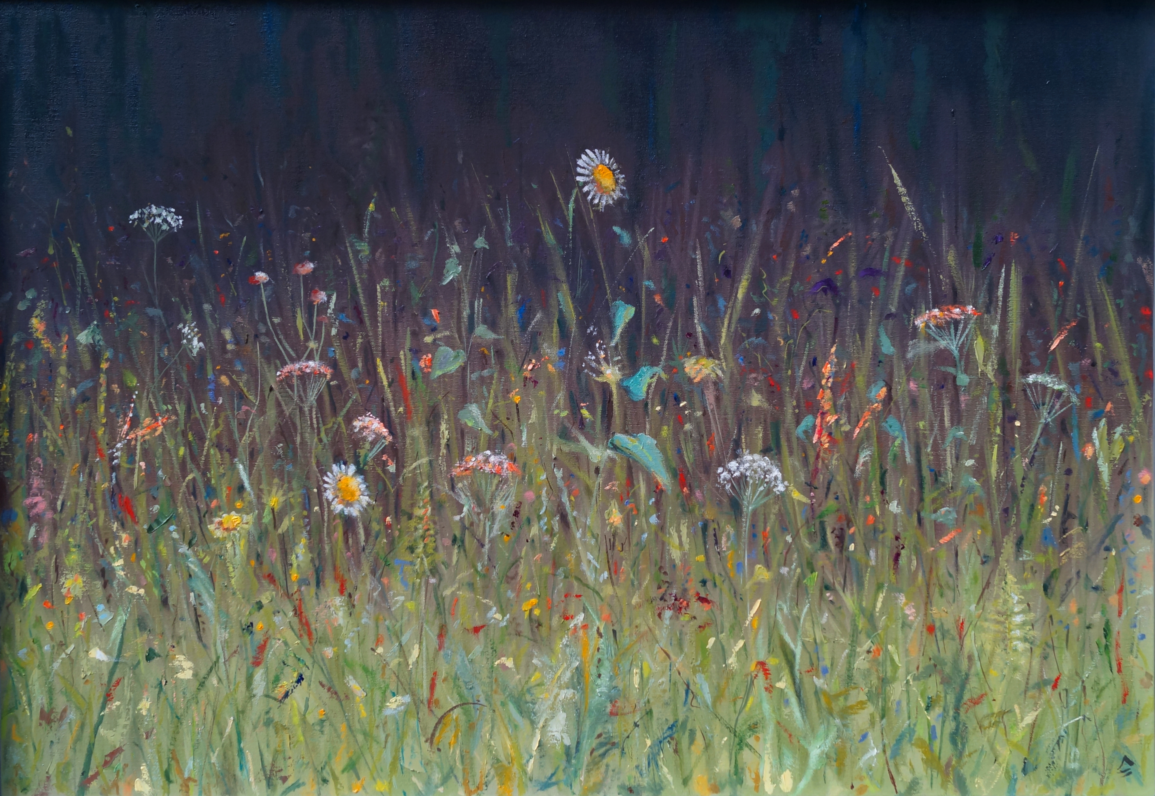 Meadow Edge